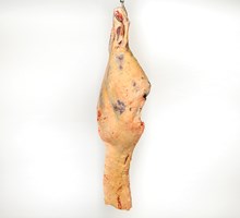 Sirloin and whole Fillet (bone-in) Meat Cut Spec Step 1